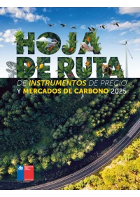 Hoja de Ruta de Instrumentos de Precio y Mercados de Carbono 2025